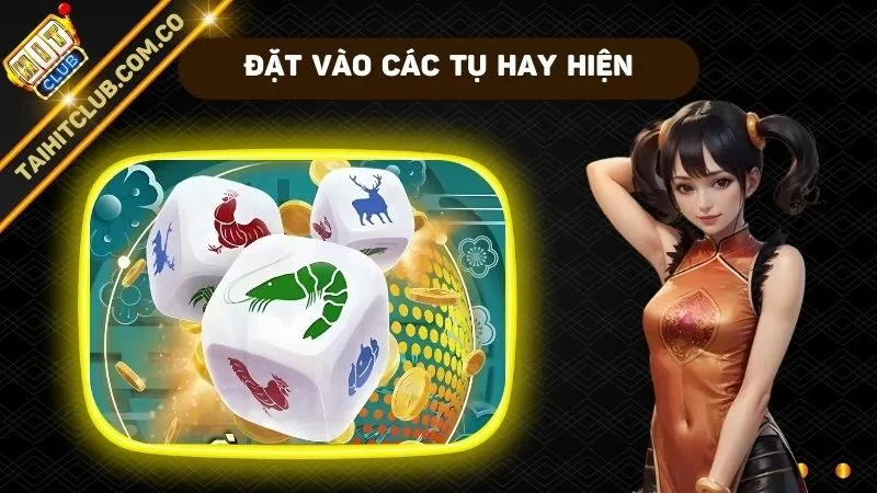 Nên đặt vào các tụ hay hiện